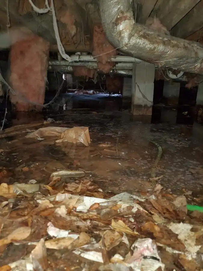 Crawl space flood assessment for Leak Detection & Repair in Grimes