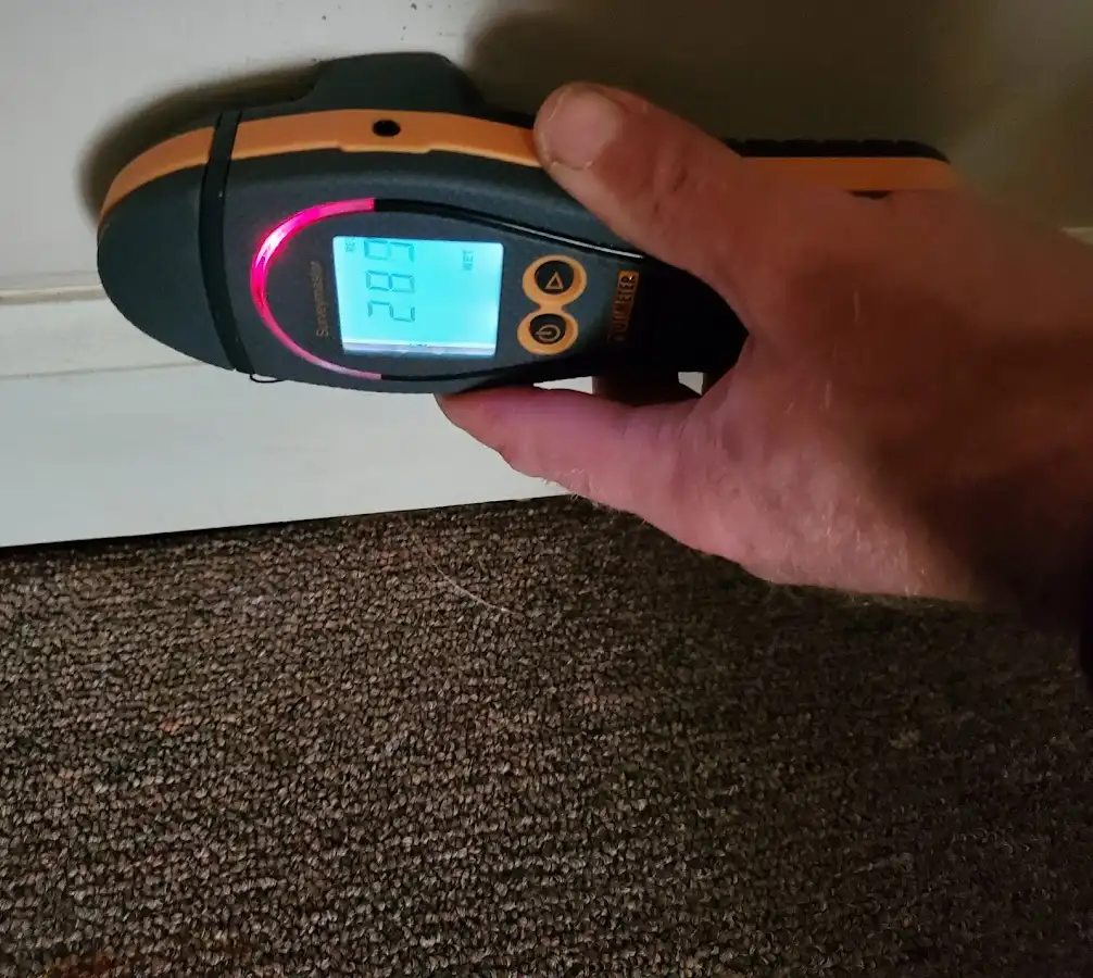 Moisture detection at baseboard during Mold Inspection & Testing in Grimes